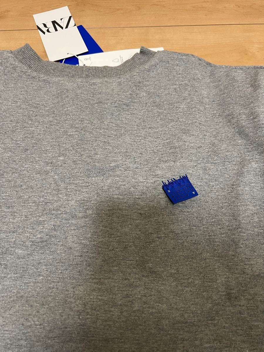 AderError ZARA オーバーサイズ スウェット トレーナー S-M AderError ZARA オーバーサイズ スウェット トレーナー S-M