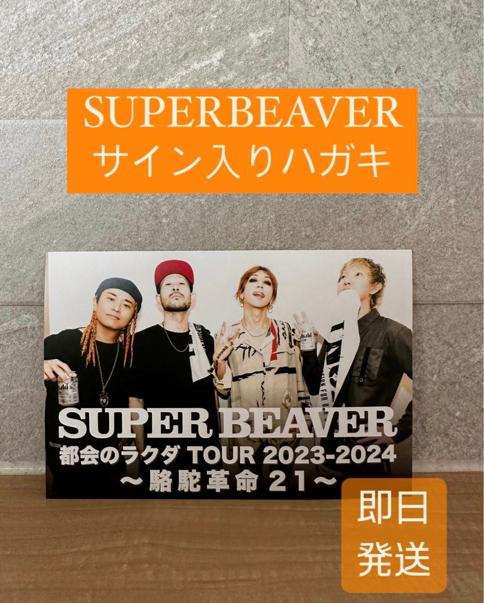 SUPERBEAVER サイン入りハガキ スーパービーバー 限定品 ライブ SUPERBEAVER サイン入りハガキ スーパービーバー 限定品 ライブ