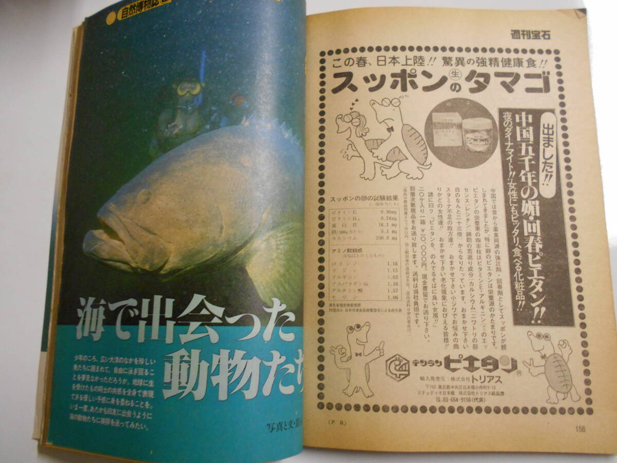 週刊宝石 1983年昭和58 3 25ビヨンボルグ ビョルン テニス 石川ひとみ 芸者 大林宣彦 手塚理美 吉原トルコ 石原慎太郎 火野美歌 竹田さなえ_画像8