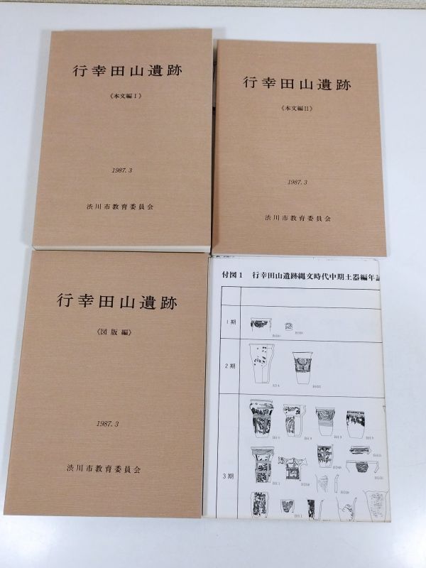 374-D4/行幸田山遺跡 3分冊セット/渋川市教育委員会/1987年 付図付き 函入/群馬県_画像2