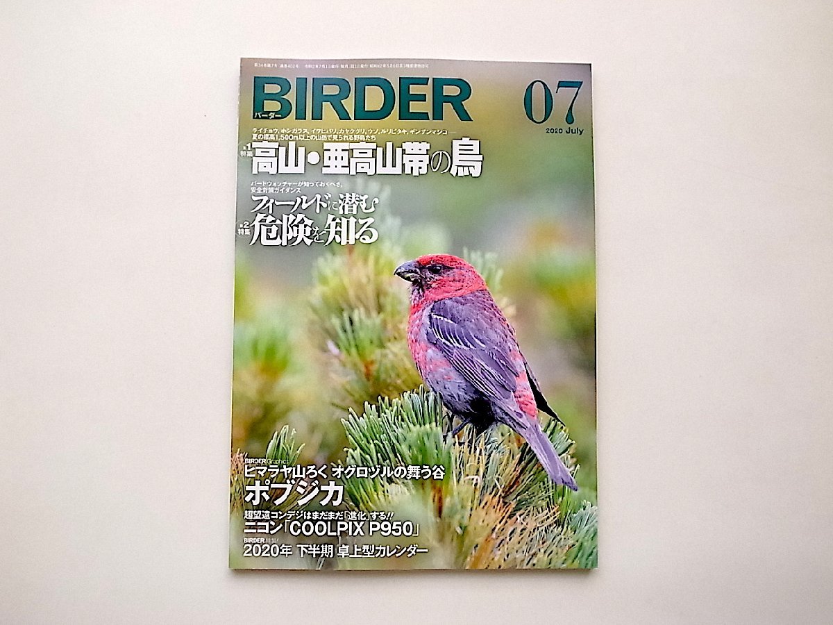 BIRDER(バーダー)2020年7月号●特集=高山・亜高山帯の鳥/フィールドに潜む危険を知る_画像1