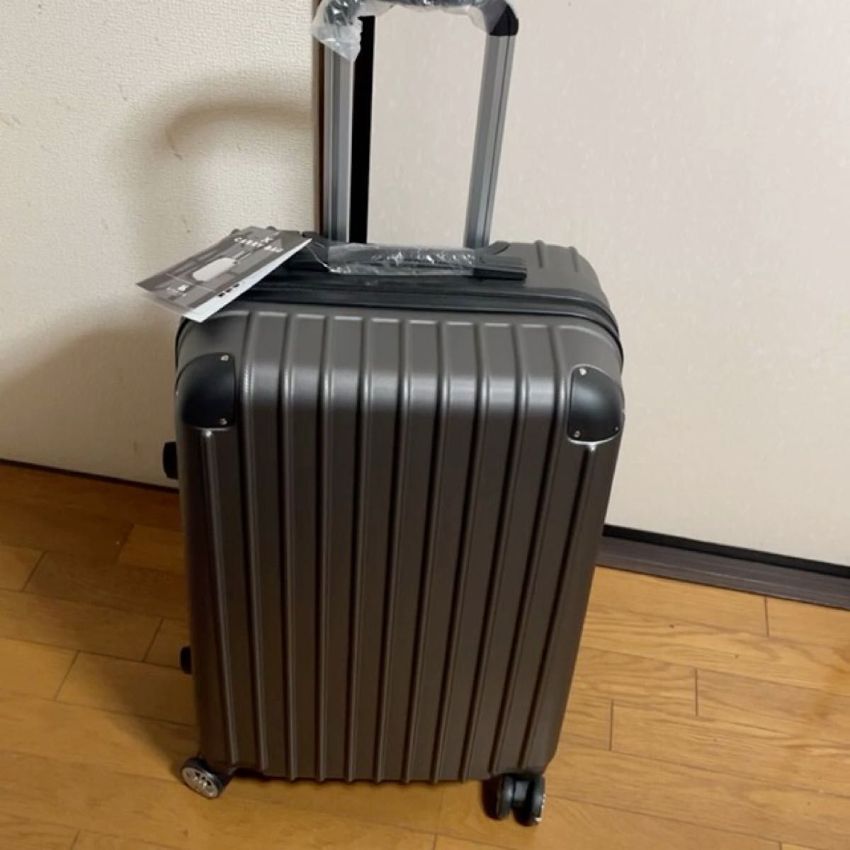 新商品スーツケース Lサイズ TSAロック102L