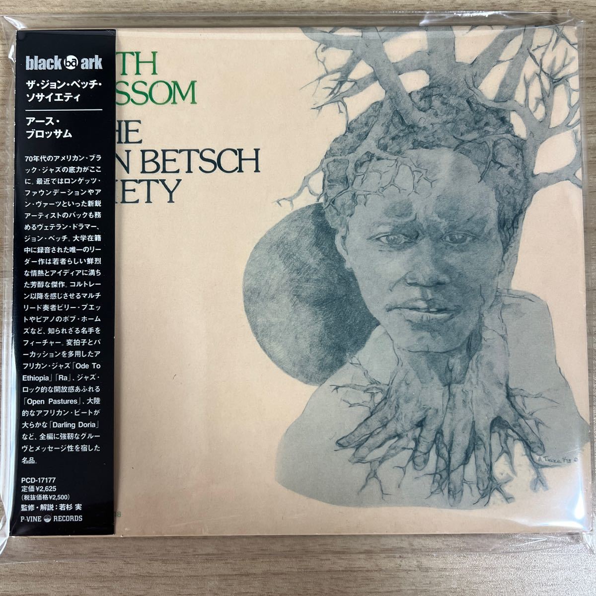 帯付 The John Betsch Society / Earth Blossom Heavenly Sweetness / HS005CD スピリチュアルジャズ Strata-Eastの画像1