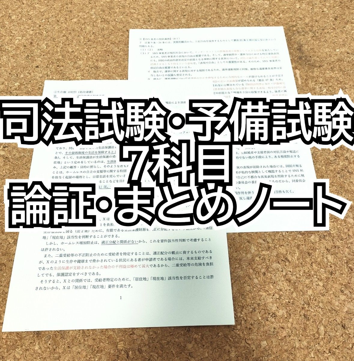 【司法試験・予備試験】  7科目の論証・まとめノート