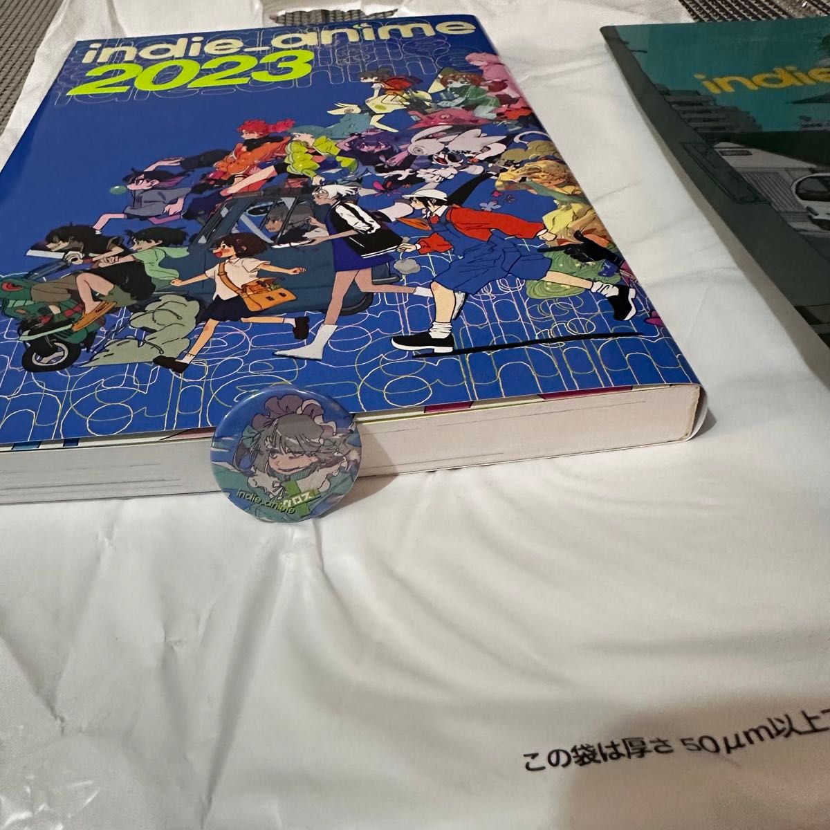 セール特価 インディーアニメクロス クリアファイル 図録 本・雑誌・漫画 アート・デザイン・音楽