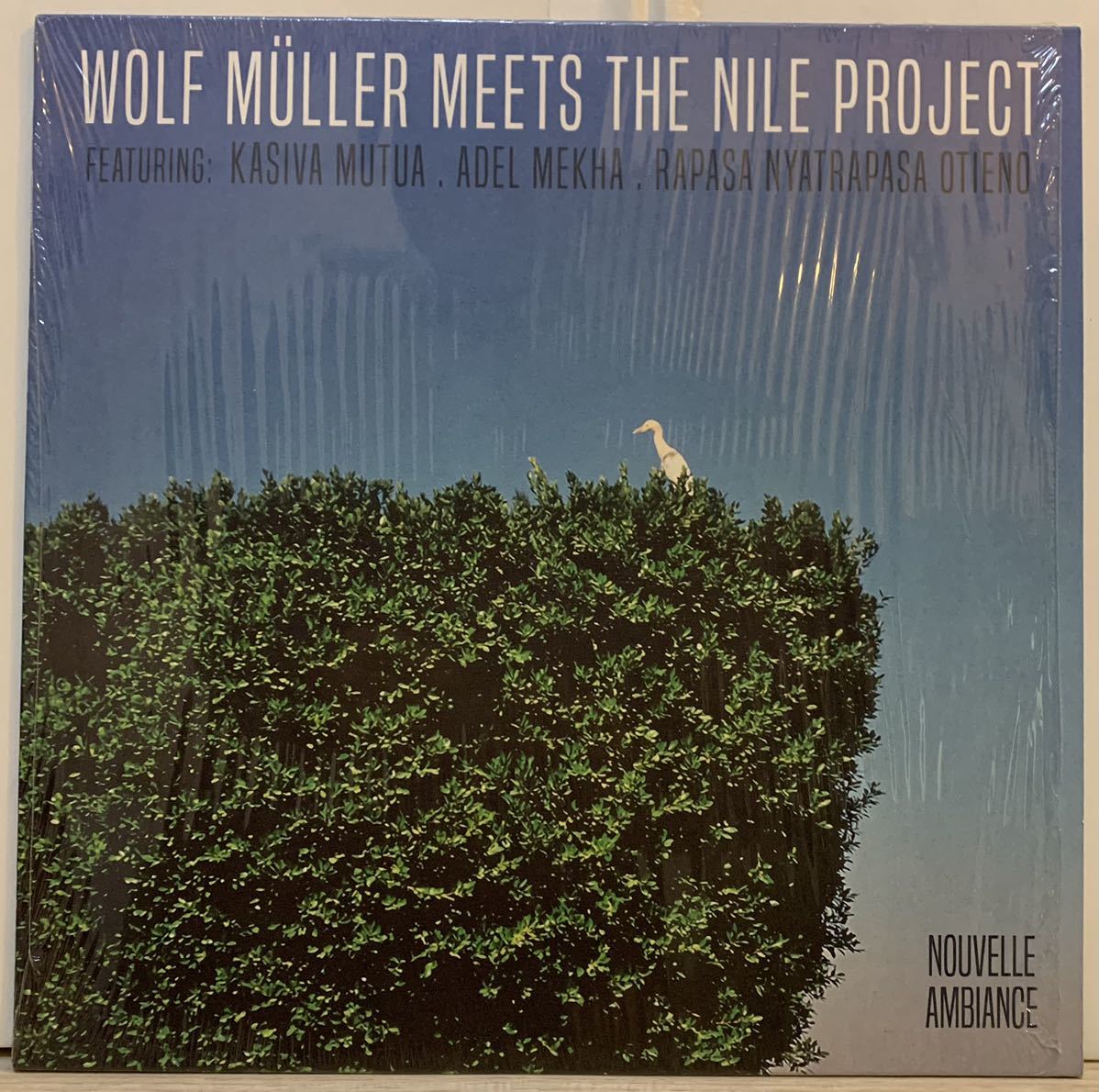 Wolf Mller Meets The Nile Project - The Nile Project EP /Nouvelle Ambiance_画像1