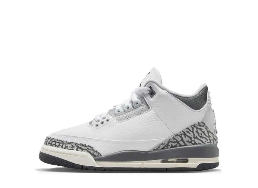 23cm～ Nike GS Air Jordan 3 "Animal Icon" 23cm DX6665-100