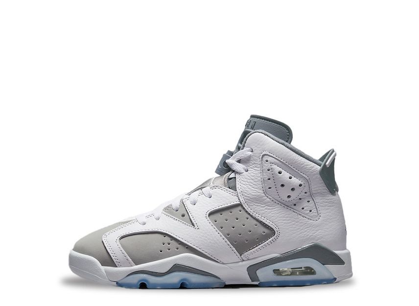 24cm～ Nike GS Air Jordan 6 "Cool Grey" 24.5cm 384665-100