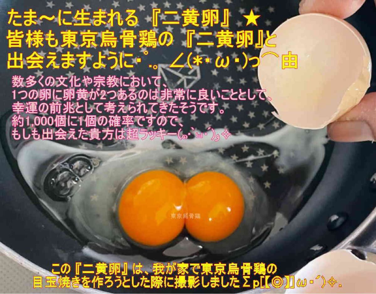 東京烏骨鶏 烏骨鶏 ３０個 有精卵 放し飼い 洗浄済み 送料無料