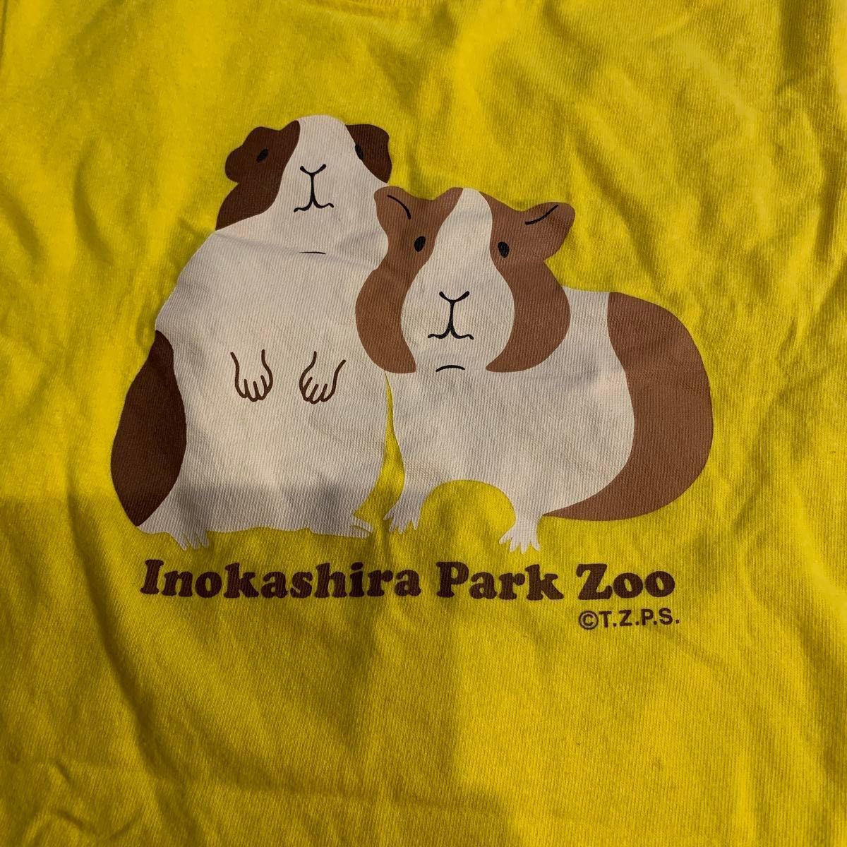 ☆120㎝☆kids  キッズ　Tシャツ　2点　上野動物園　シャオシャオレイレイ　井の頭自然文化園
