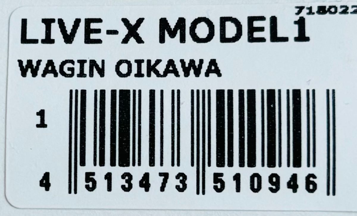 新品 メガバス LIVE-X MODEL1 ライブX モデル1 WAGIN OIKAWA