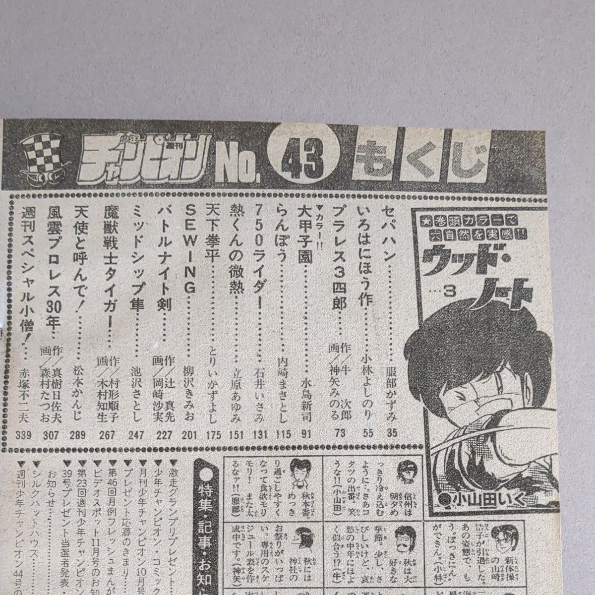 週刊少年チャンピオン　1984年43号