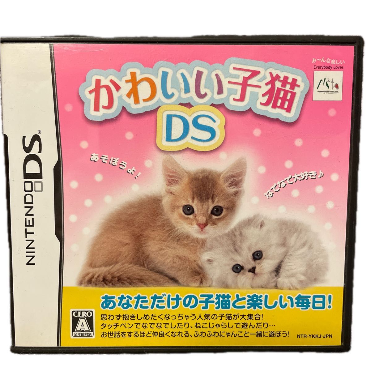 【DS】かわいい子猫DS