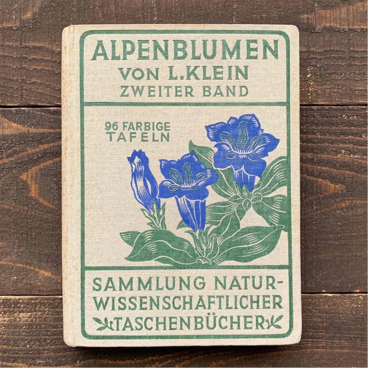  ドイツの古い植物図鑑( ALPENBLUMEN Ⅱ 1932年)/アンティーク ヴィンテージ ヨーロッパ 植物画 花の絵 ボタニカルアート 雰囲気◎/_画像1