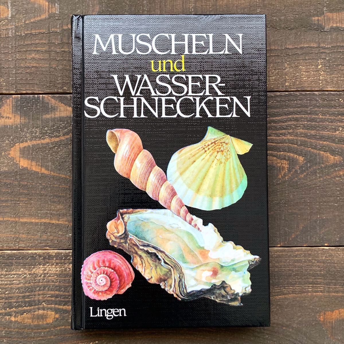 ドイツの古い貝殻の図鑑(MUSCHELN und WASSERSCHNECKEN 1987年)/アンティーク ヴィンテージ ヨーロッパ 貝殻図鑑 海洋生物 美品 雰囲気◎/の画像1