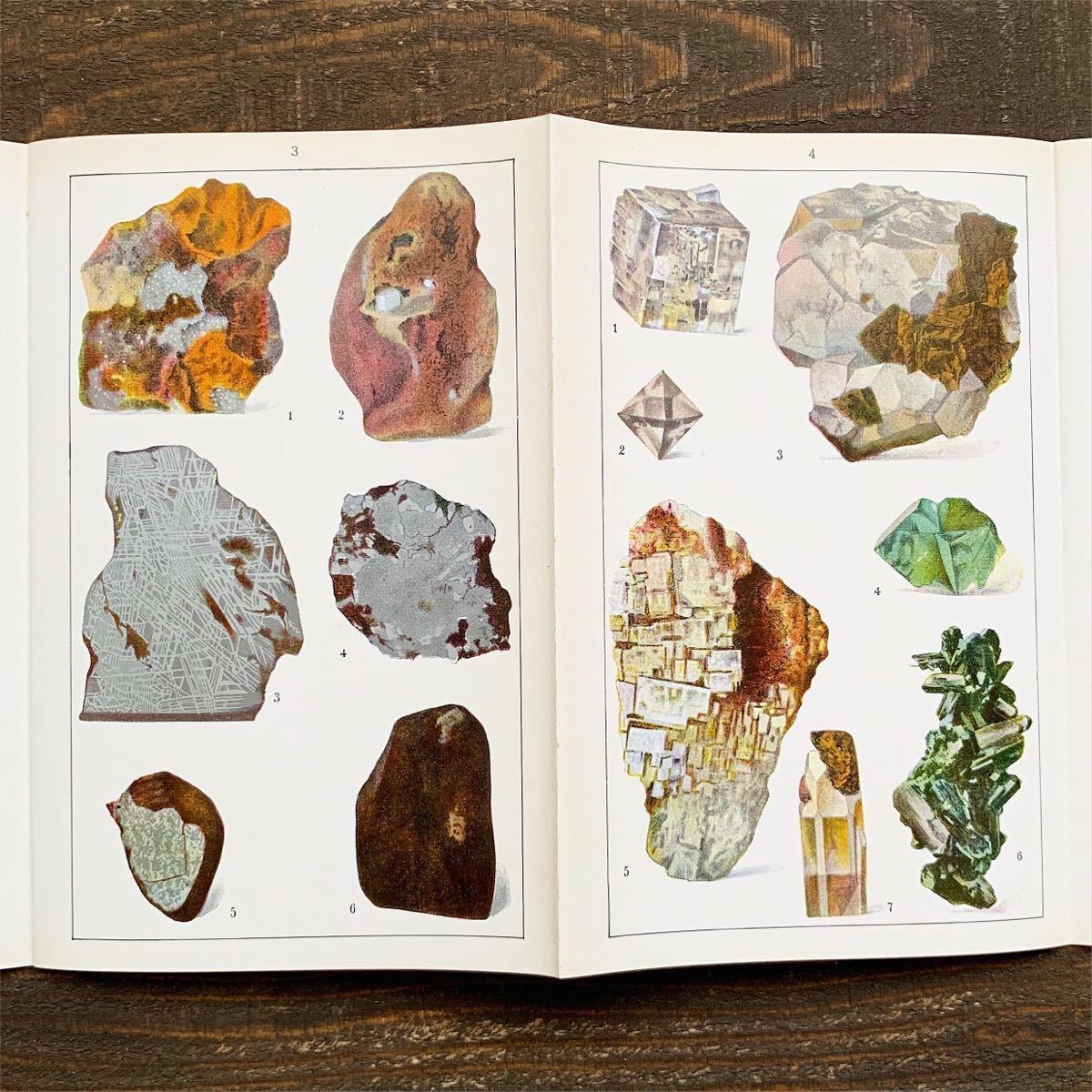 ドイツの古い鉱物図鑑(MINERALOGIEⅠ)/アンティーク ヴィンテージ ヨーロッパ 洋書 鉱石図鑑 鉱物画 鉱石画 鉱物の絵 イラスト 雰囲気◎/ - 洋書 ドイツの古い鉱物図鑑(MINERALOGIEⅠ)/アンティーク ヴィンテージ ヨーロッパ 洋書 鉱石図鑑 鉱物画 鉱石画 鉱物の絵 イラスト 雰囲気◎/ - 洋書