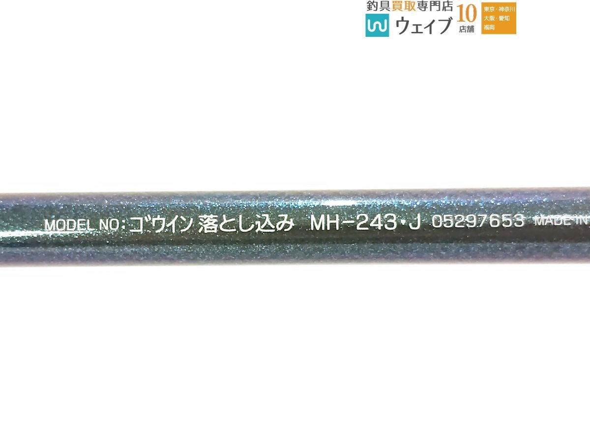 ダイワ ゴウイン 落し込み MH-243・J_120U463206 (2).JPG