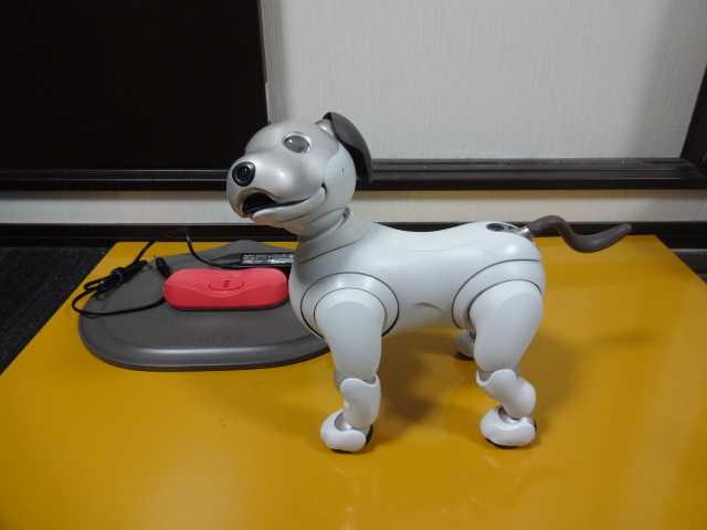 ジャンク品扱い。ERS-1000 ソニー sony アイボ aibo｜代購幫