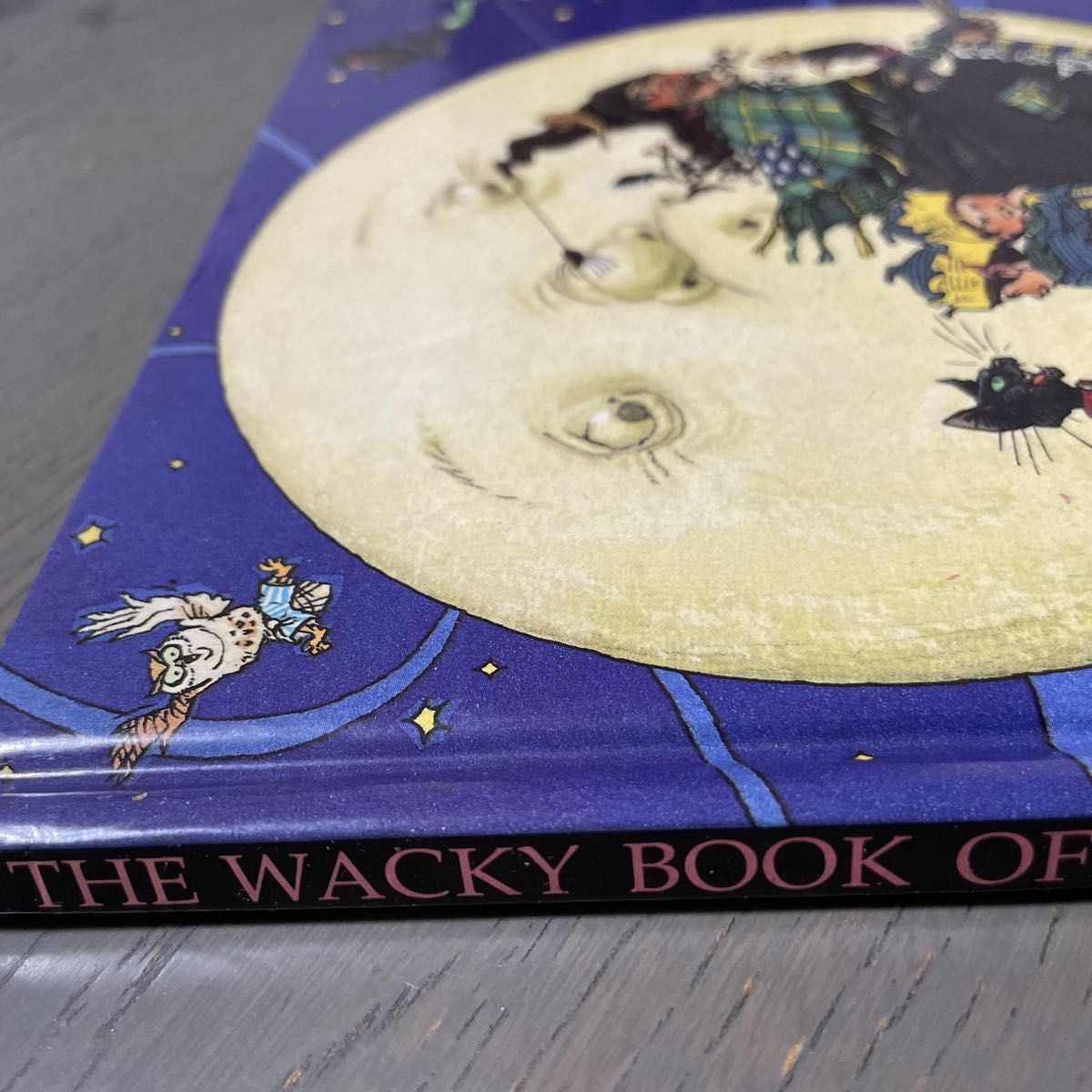 The  Wacky  Book of Witches 洋書　魔女　ゆうパック匿名配送　ギフト　英語