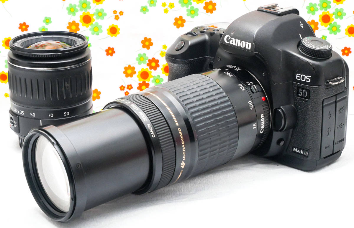 国産】 キャノン Canon 5D MarkII☆ダブルレンズ！☆高性能フルサイズ