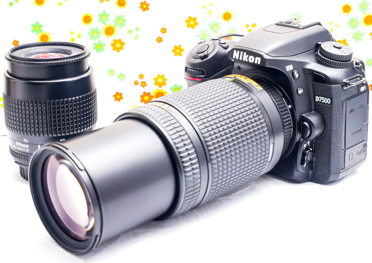 美品 ニコン Nikon D7500☆Wi-Fi搭載＆高速性能☆ダブルレンズ！