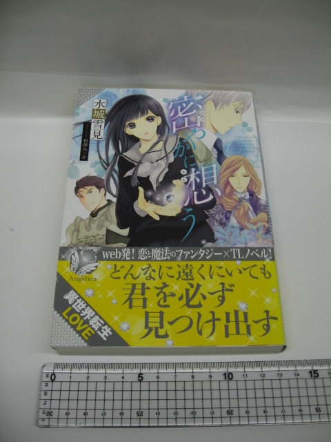 0o2l6B 中古本 超メイド大戦 巨大乙女、東京に立つ/密やかに想う 2冊セット_画像7