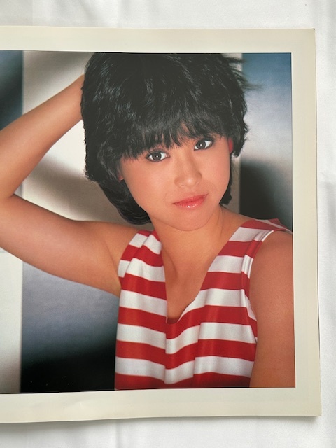 松田聖子 / カネボウ レディ80 スペシャル ’84 SEIKO MATSUDA in Campus Concert touch me SEIKO Fantastic FLY ツアーパンフレット _画像2