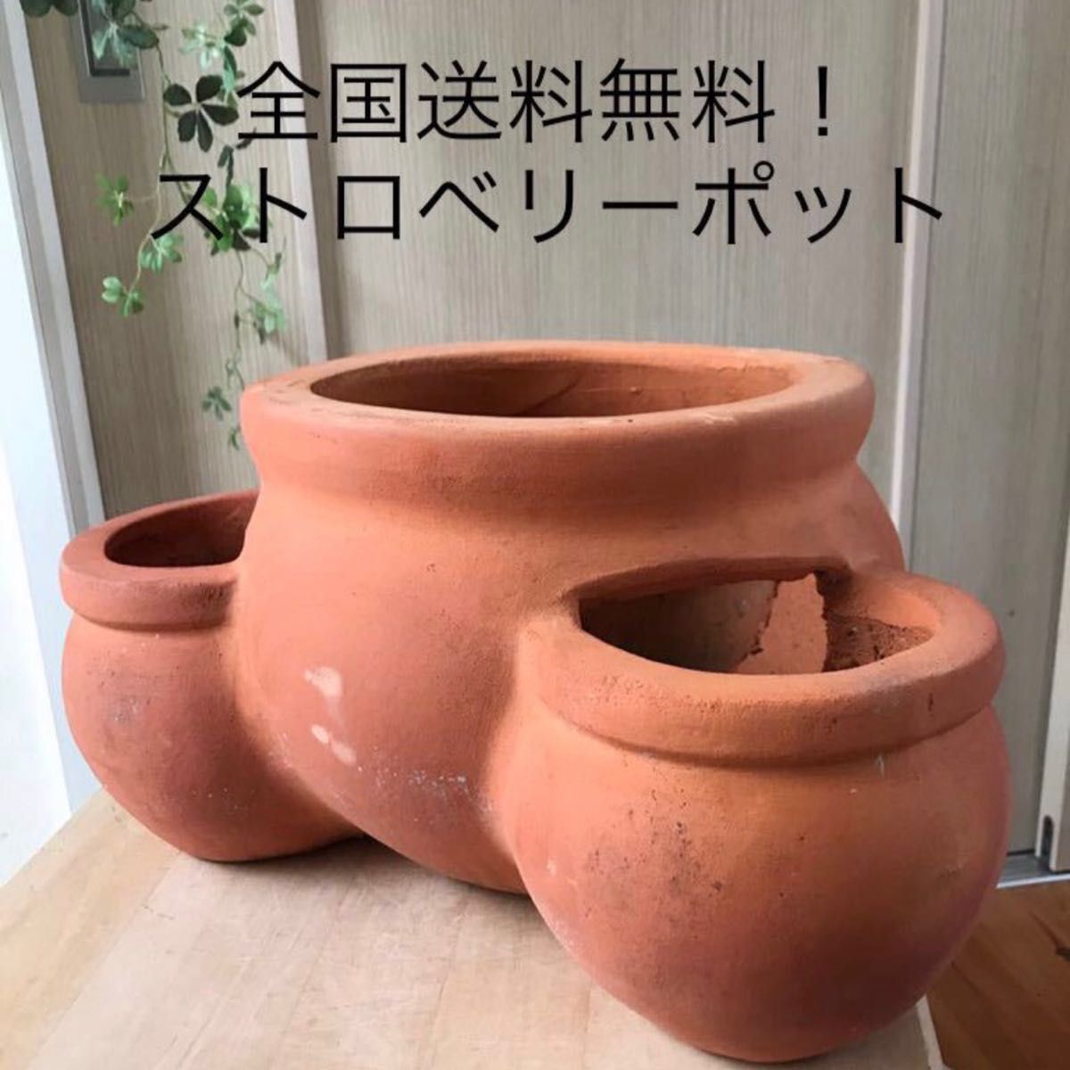 未使用保管品【大型】ナチュラル素焼きテラコッタ鉢ストロベリーポット寄せ植え鉢