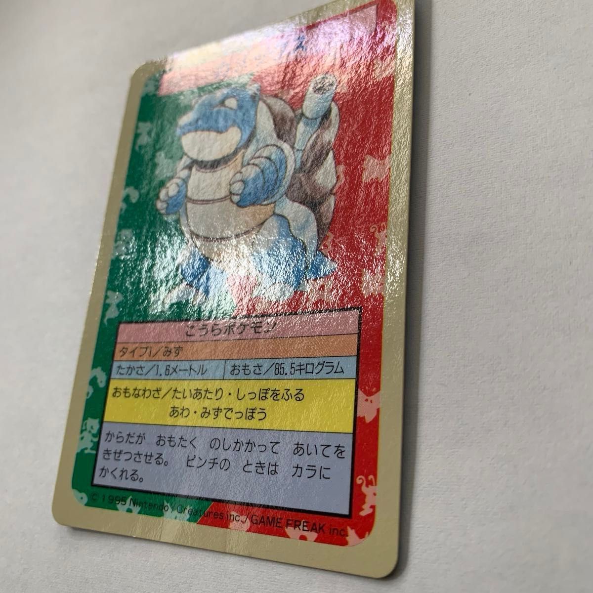 トップサン Pokemon ポケモン カード カメックス 009 裏面 青 トップサン Pokemon ポケモン カード カメックス 009 裏面 青