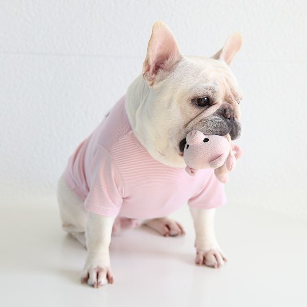 ピンクLサイズ◆【残り数枚】犬服 中型犬用 ドッグウェア くまさん ボーダー柄 Tシャツ カットソー 新作 ペット 新品 春 夏 秋 冬 犬用品_画像6