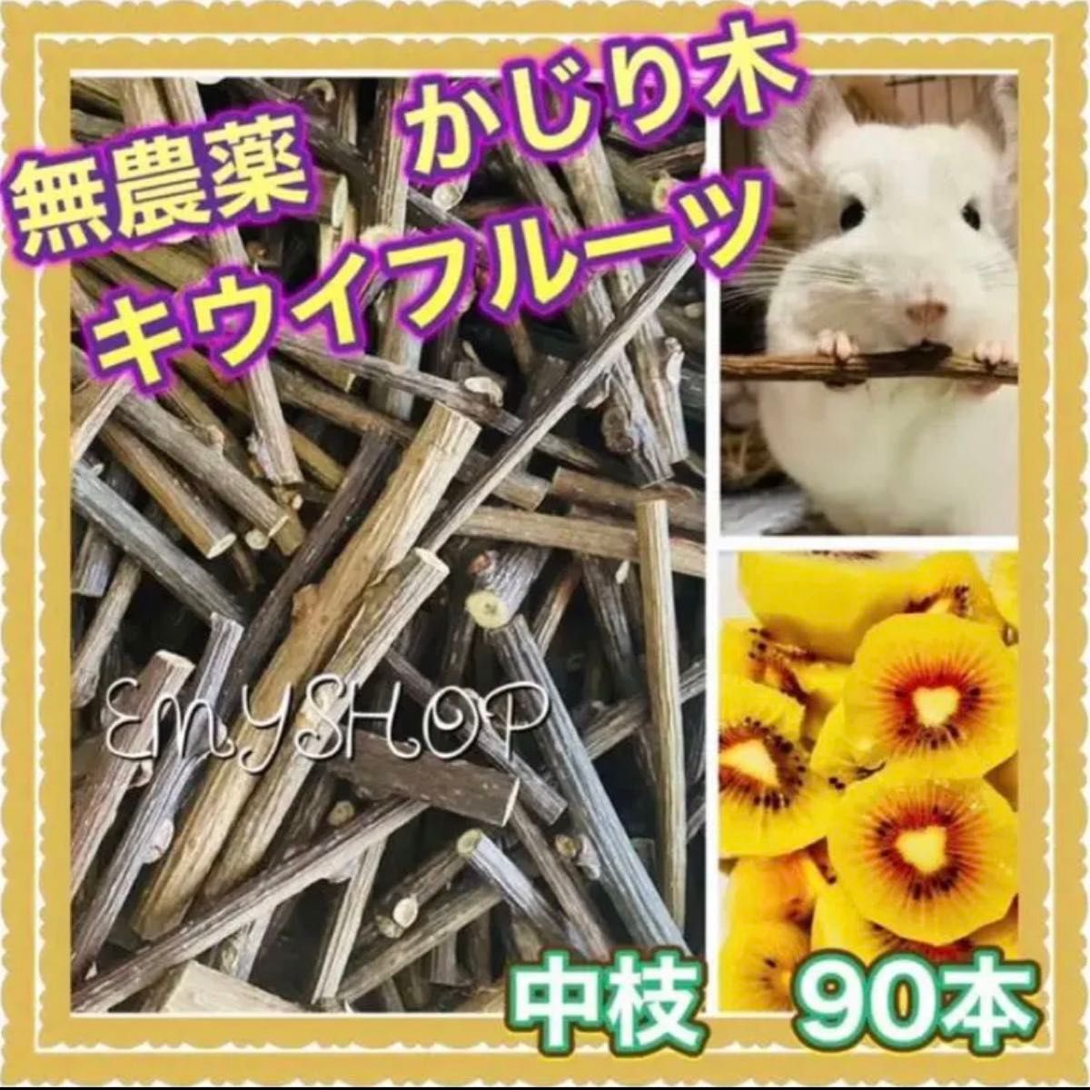 大人気！無農薬　かじり木　キウイフルーツ　中枝　90本