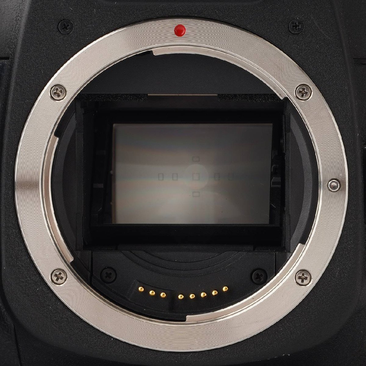 キヤノン Canon EOS 7S / ZOOM LENS EF 24-85mm F3.5-4.5 USM_画像9