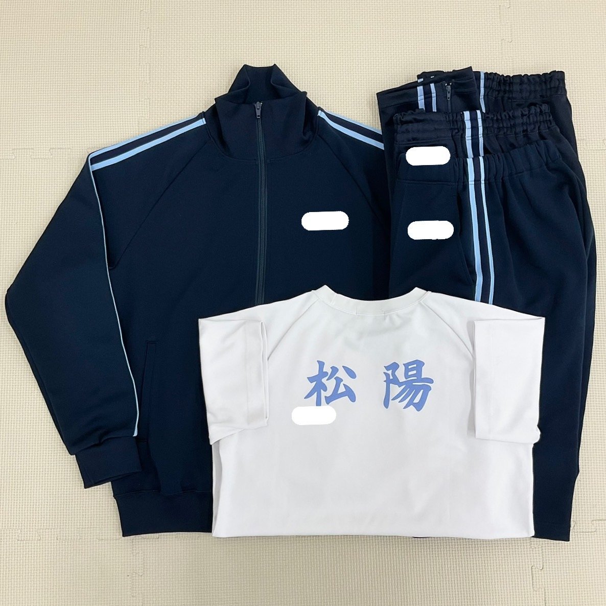 U478/S1075( used ) Kanagawa prefecture pine . high school gym uniform 5 point / smaller /S/M/ long sleeve / short sleeves / long trousers / shorts / navy blue / light blue 2 ps line / jersey / woman /. industry raw goods /