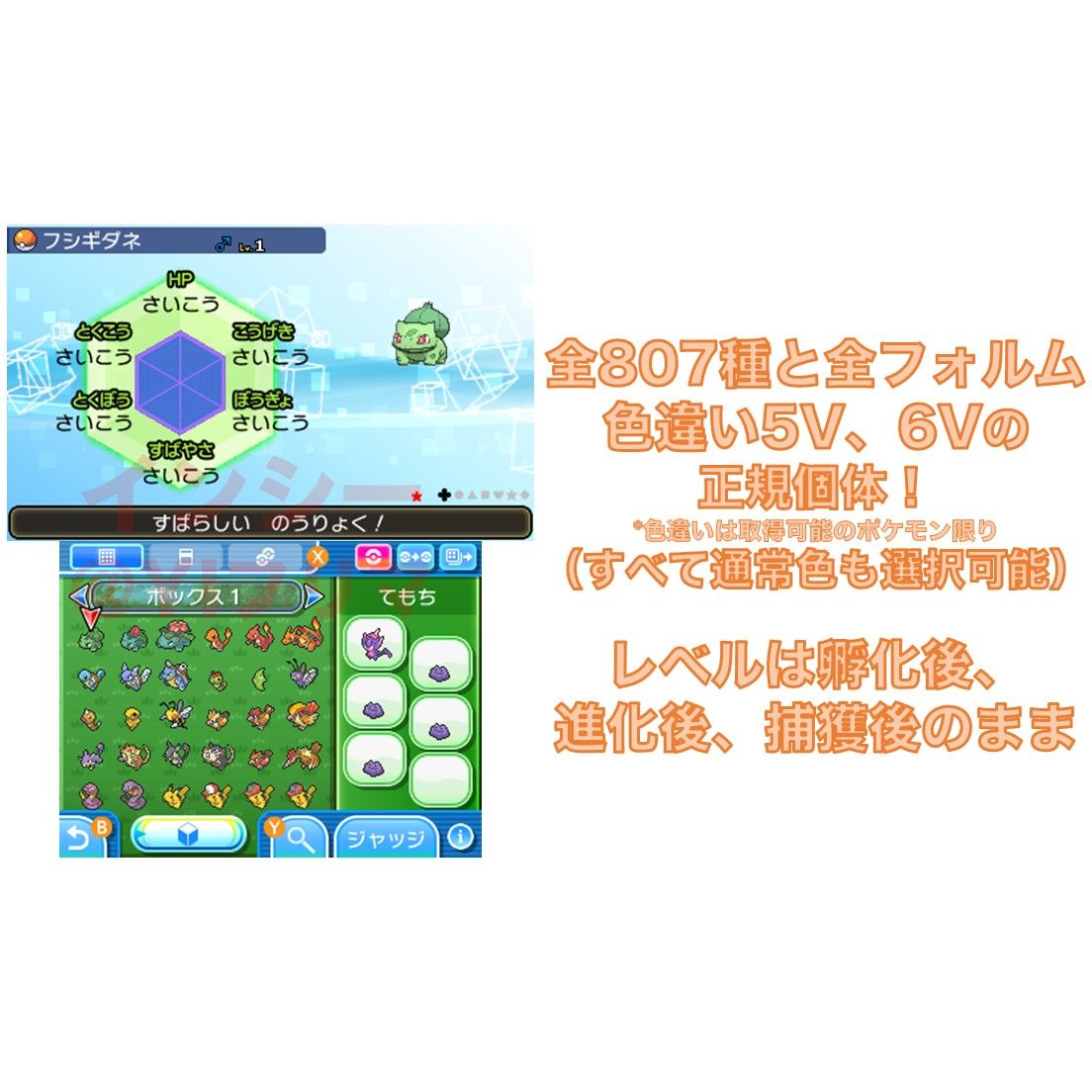 即購入OK　ポケットモンスター ウルトラムーン　コンプリートセーブ　ポケモン