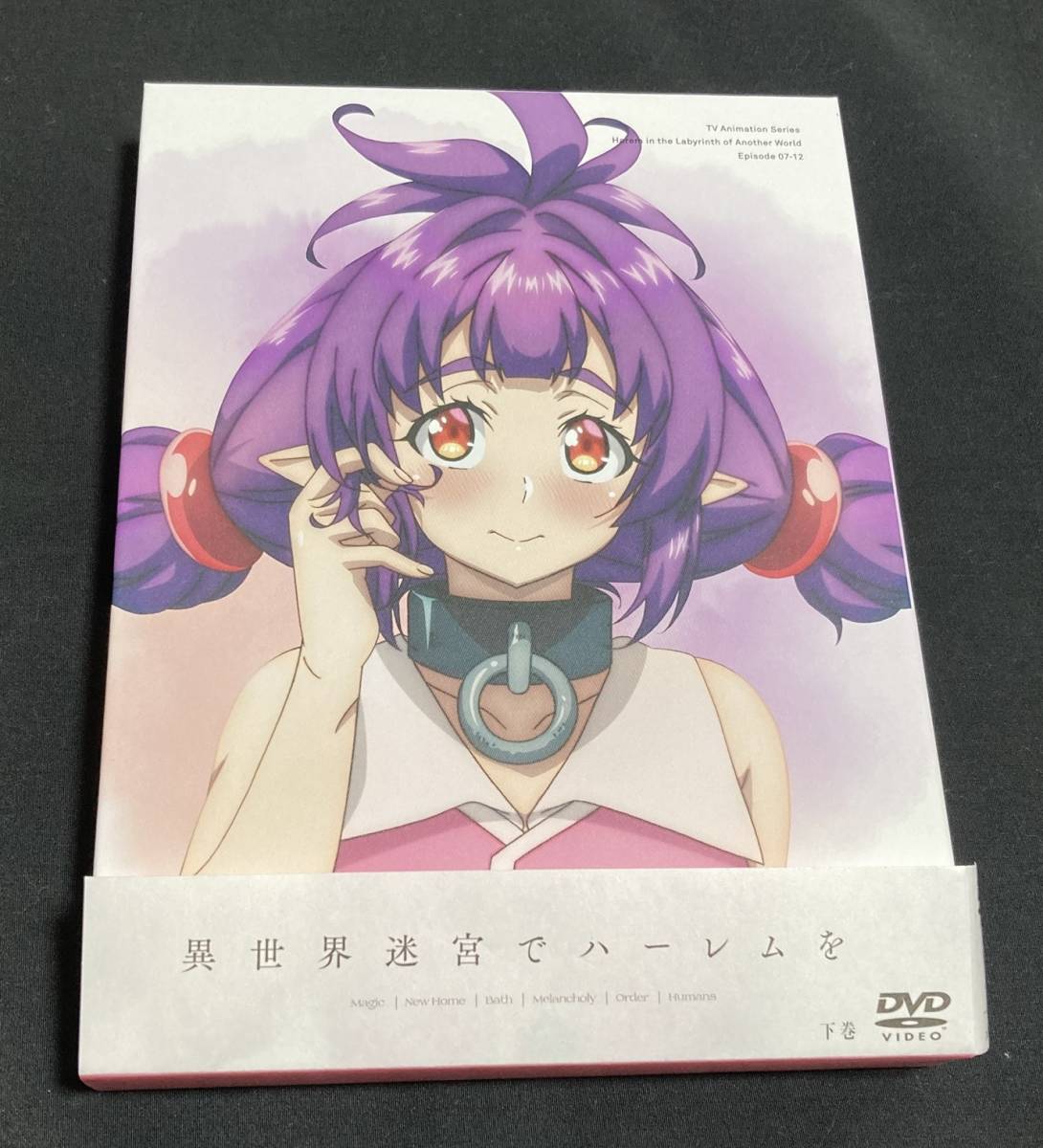 Yahoo!オークション - 異世界迷宮でハーレムを DVD-BOX 下巻 超 Yahoo!オークション - 異世界迷宮でハーレムを DVD-BOX 下巻 超