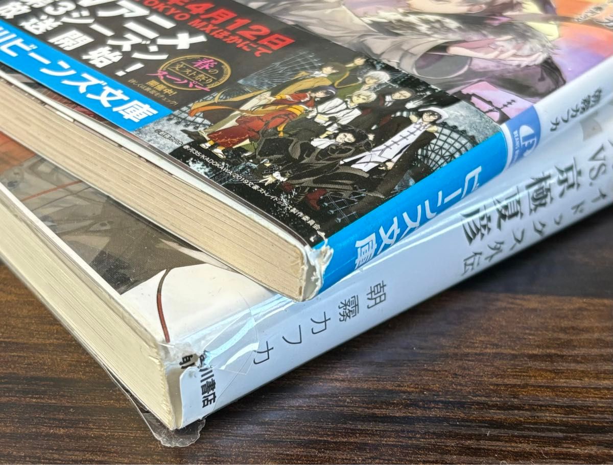 文スト 文豪ストレイドッグス 1〜24巻全巻セット 小説 外伝 公式 文スト 文豪ストレイドッグス 1〜24巻全巻セット 小説 外伝 公式