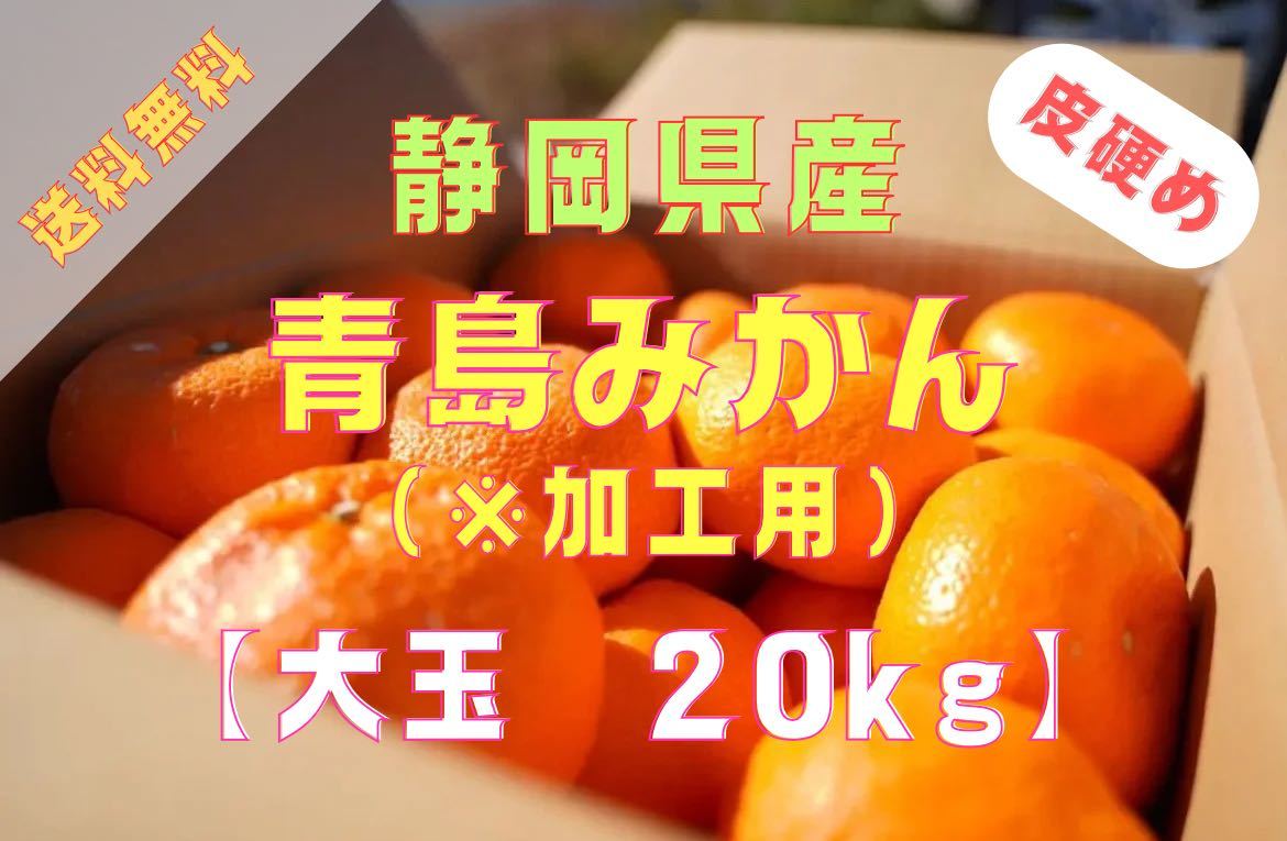 【蔵出し青島みかん】大玉(3L〜4L)・20kg箱満杯詰め【※加工用】送料無料_画像1