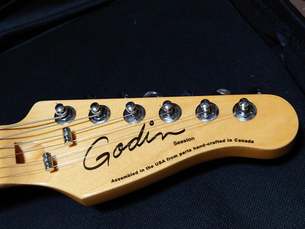 Godin Session LTD _画像3