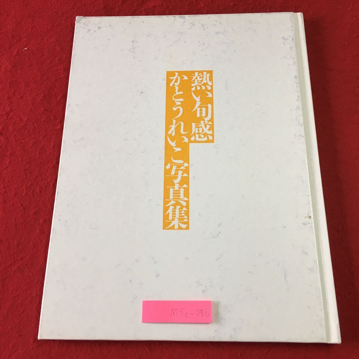 表紙に汚れ有り