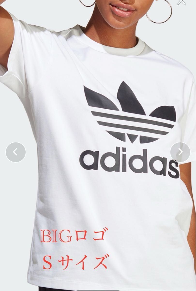 アディカラー クラシックス トレフォイル 半袖Tシャツ / アディダスオリジナルス adidas Originals