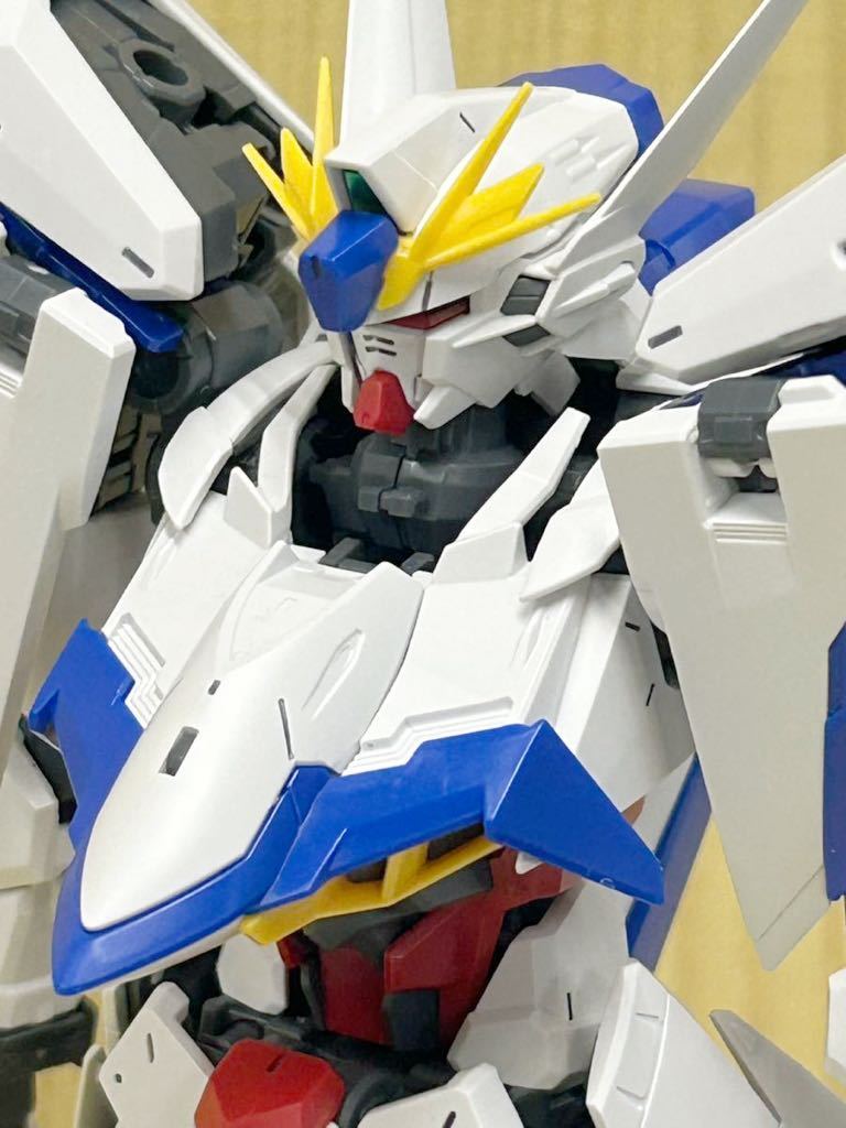 プラモデル　ガンプラ　MG 1/100 エクリプス ガンダム　素組完成品_画像6