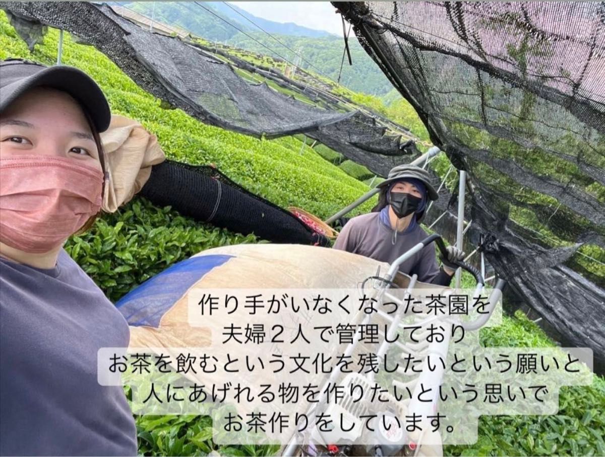 ＊農薬不使用＊  抹茶入り玄米茶　化学肥料不使用　宇治茶100% 2023年産