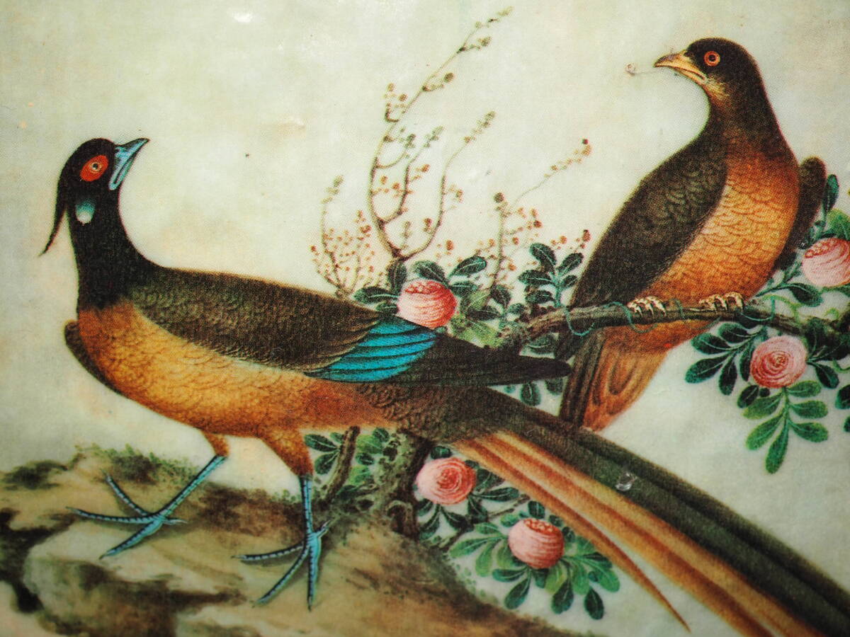 A 海外購入 絵画 鳥 アランフェス P.R.de ARANJUEZの画像5