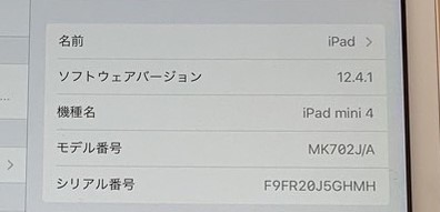 【Y581】Apple/アップル/Softbank/ソフトバンク/ipad mini4/A1550/第4世代/シルバー/16GB/動作確認済み/初期化済み/ネコポス可_画像5