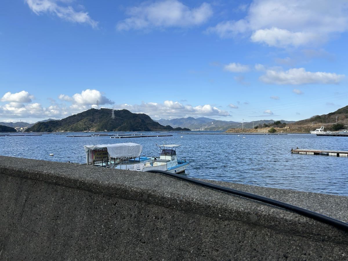 鳴門内の海産殻付き生牡蠣（小）5kg（加熱用）_画像4