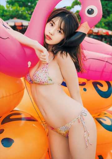 ■最新　kikuhina　A4　美品　Poster　防水シート付き　まとめ可　100-15_画像1