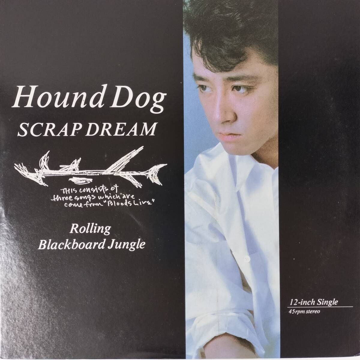 45603★美盤 HOUND DOG / SCRAP DREAM ・２枚組_画像1