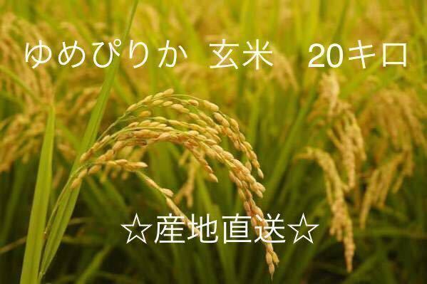 新米産地直送 令和5年北海道産玄米ゆめぴりか 20kg送料込み 数量限定！！①_ゆめぴりか 玄米20キロ