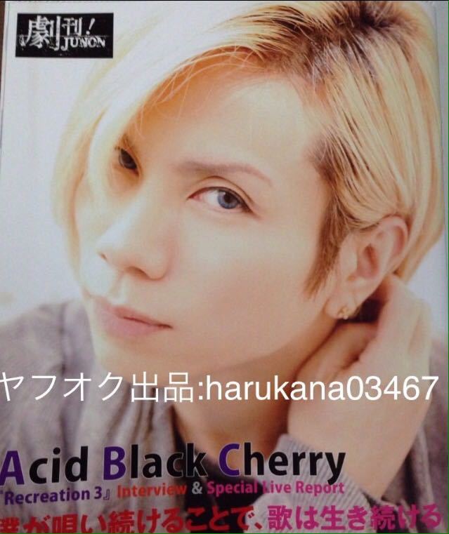 JUNON 2013　 中村倫也 BABYMETAL 中元すず香 水野由結 菊地最愛 でんぱ組.inc 西島隆弘 Acid Black Cherry 片寄涼太 白濱亜嵐 E-girls_画像6