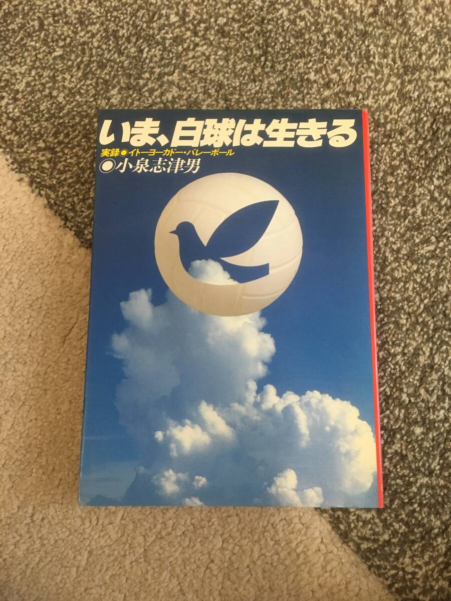 【中古】80年代バレーボール書籍　5冊(白球が緑に染まる日、いま白球は生きる、嵐の中の青春、若き日の勇躍、続・若き日の勇躍)_画像3